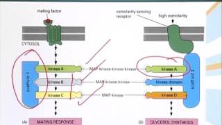 BIO201_Topic112