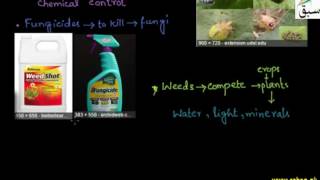 Chemical and Biological Control of Pests