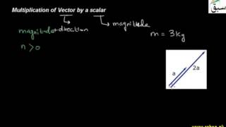 Multiplication of Vector by a scalar