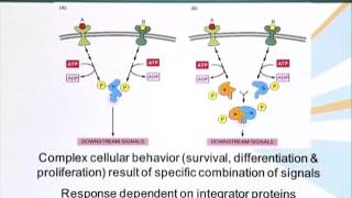 BIO201_Topic113