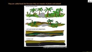 Conventional Energy Resources