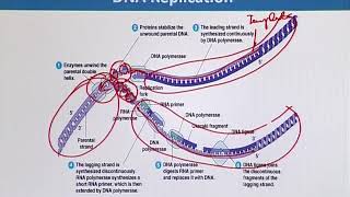 BIF732_Topic010