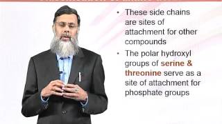 BIO202_Topic047