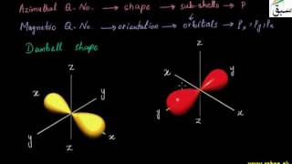 Shapes of p-Orbitals