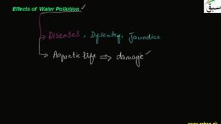 Effects of Water Pollution