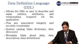 DDL DML Database Lecture in Hindi/Urdu  Database Architecture Database modelin urdu LECTURE 04