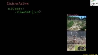 Impact of Human Beings on Biodeversity,Causes and Effects of Deforestation, Ove