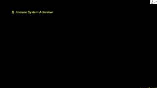 Lymph Nodes