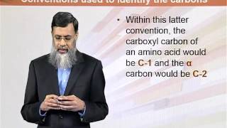 BIO202_Topic034