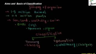 Aims and Basis of Classification