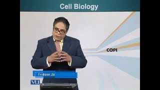 BIO201_Topic161