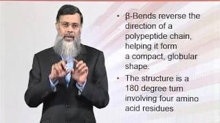 BIO202_Topic060