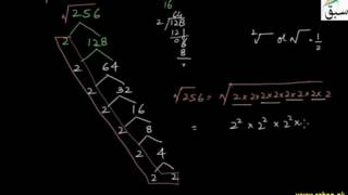 Problem 1: Square Root