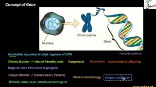 Concept of Gene