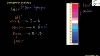 Concept of pH Scale