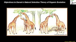 Objections to Darwin