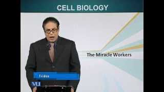 BIO201_Topic024