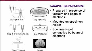BT601_Topic031