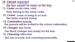 Use Words in Sentences part-5