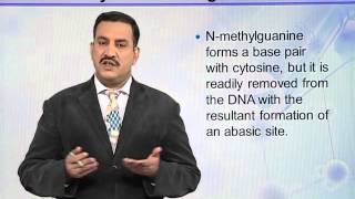 BIO302_Topic065