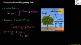 Transpiration- A Necessary Evil