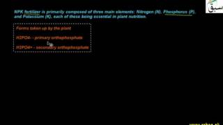 Minerals Requirement, Phosphorus