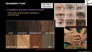 Quantitative Traits
