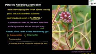 Parasitic Nutrition classification