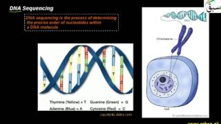 DNA Sequencing