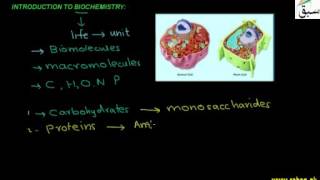 Introduction to Biochemistry