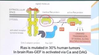 BIO201_Topic111