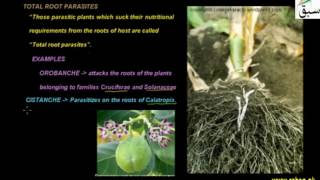 Parasitic Nutrition