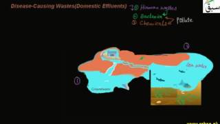 Disease-Causing Wastes(Domestic Effluents)