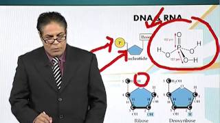 BIO201_Topic011
