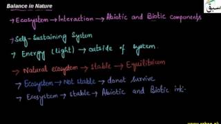 Balance in Nature(Ecosystem)