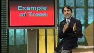 CS402_Lecture33