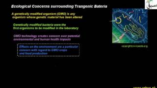 Ecological Concerns surrounding Trangenic Bateria