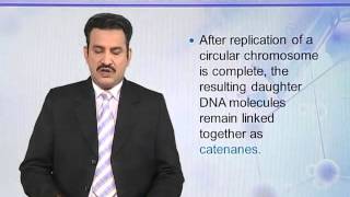 BIO302_Topic049