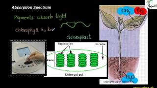 Absorbtion Spectrum