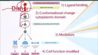 BIO201_Topic099