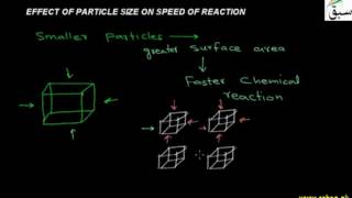 Effect of Particle Size on Speed of Reaction