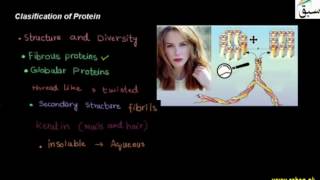 Classification of Protien