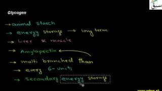 Glycogen