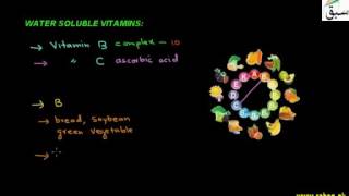 Water Soluble Vitamins