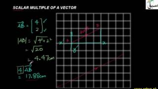 Scalar Multiple of a Vector
