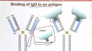 BIO202_Topic075