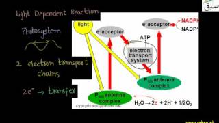 The Energy Transfer Process