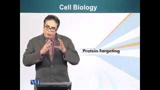 BIO201_Topic090
