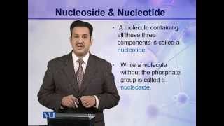 BIO302_Topic006