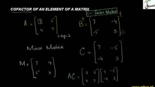 Cofactor of an Element of a Matrix